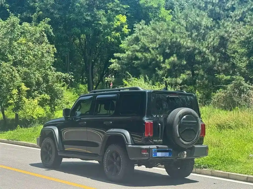 Tank 300 Offroad 2.0 T Conqueror