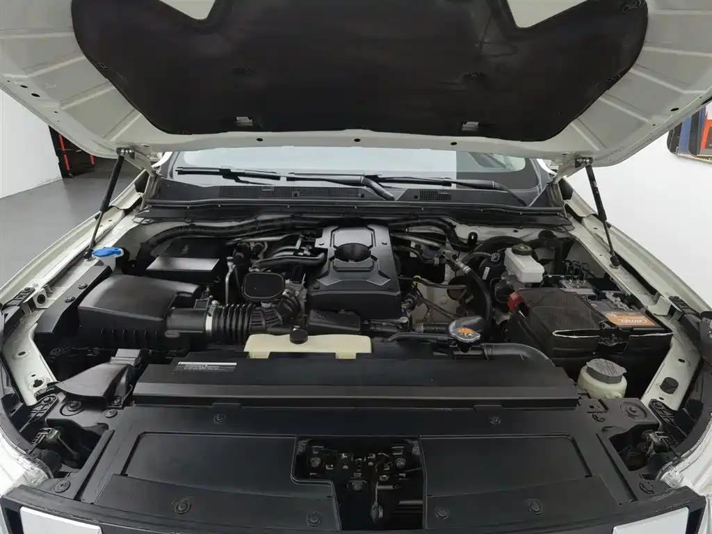 Terra 2.5 L XL Upper 4 WD Auto 4 WD Luxury