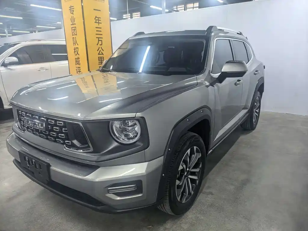 Haval Dargo PLUS 2.0 T 2 WD Trend Wild Plus