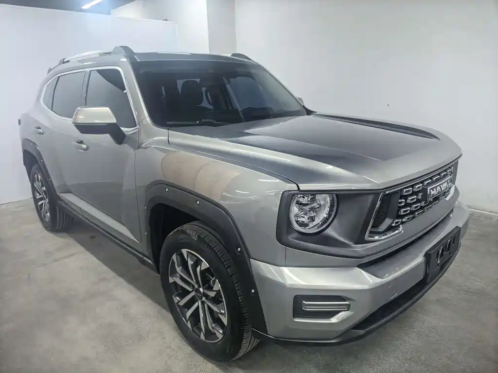 Haval Dargo PLUS 2.0 T 2 WD Trend Wild Plus