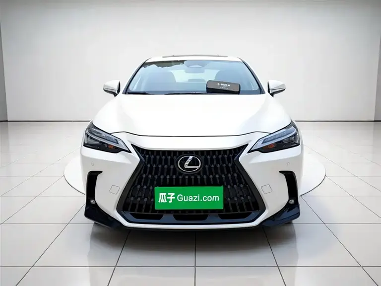 Lexus NX 260 FWD Creative Tour Special Edition