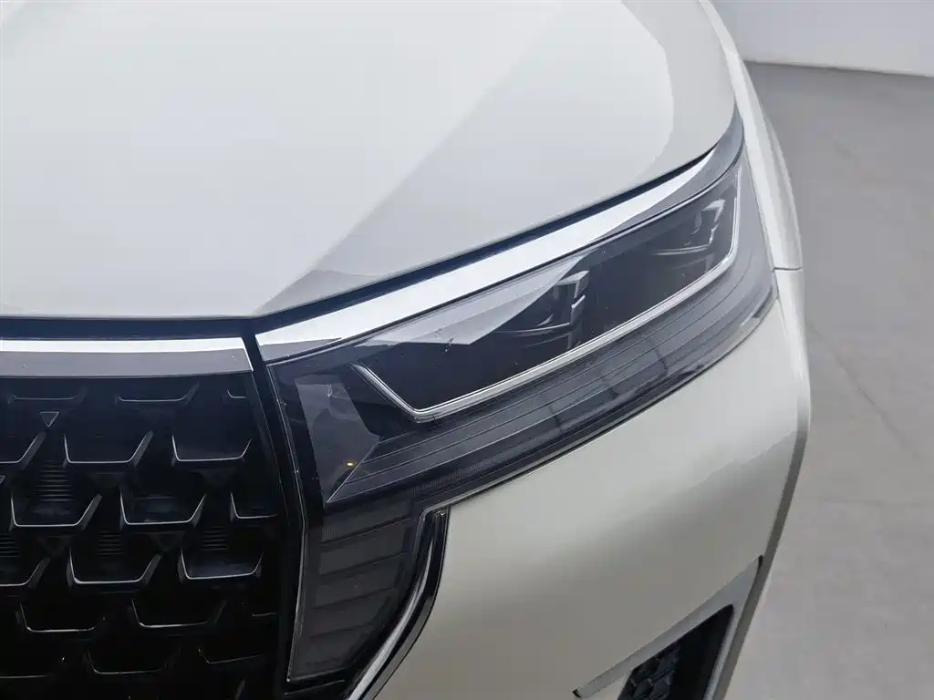 Venucia Star 260 T Auto 48 V Mild Hybrid Turbo Star Shine