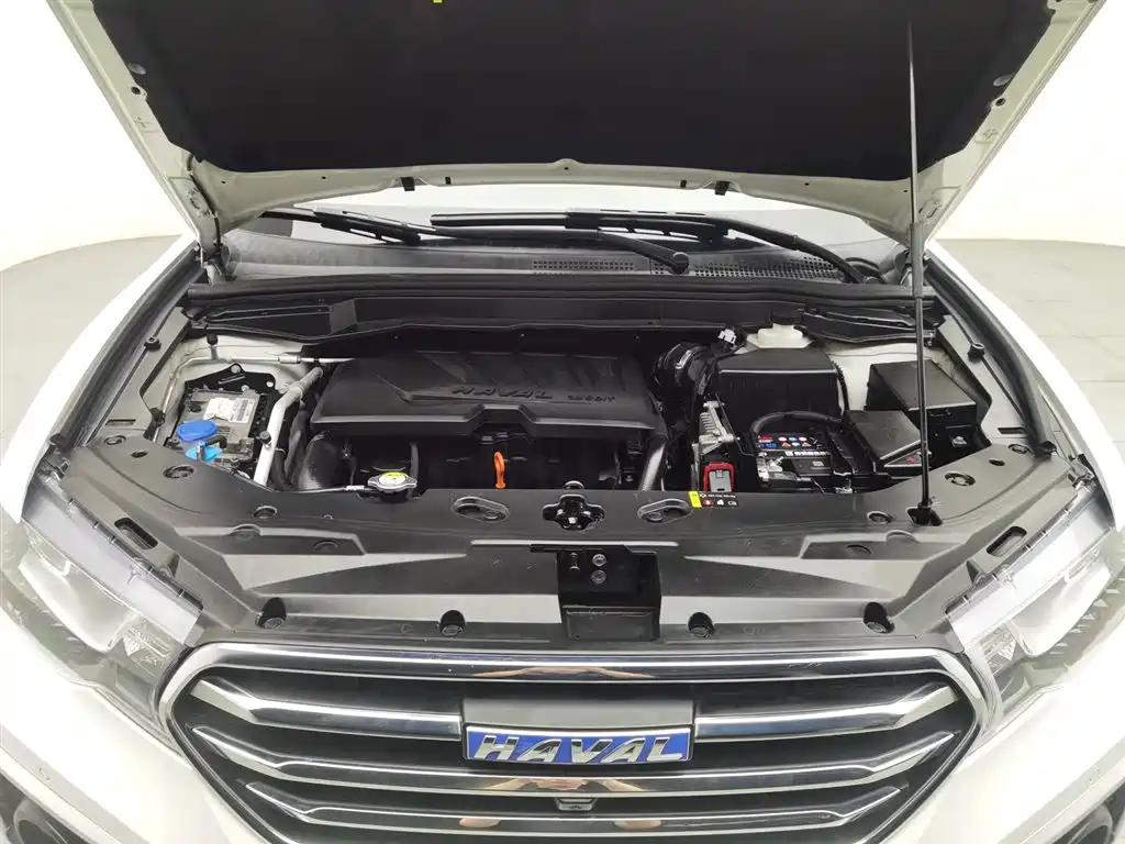 Haval H6 Coupe Blue Label 1.5 T Auto 2 WD Super Luxury