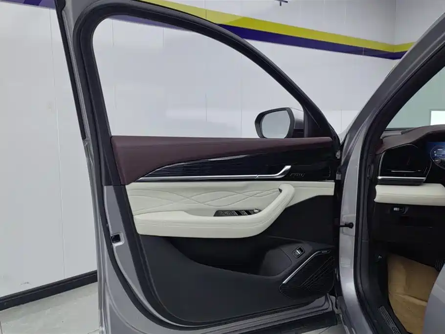 Xingyue L 2.0 TD High Power Auto 4 WD Flagship