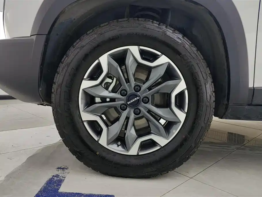Haval Dargo 2.0 T DCT Brilliance Country Dog