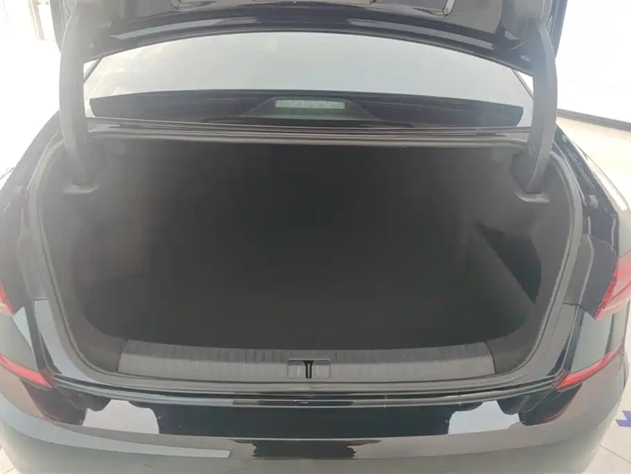 Passat 380 TSI Starry Sky Dragon Shine
