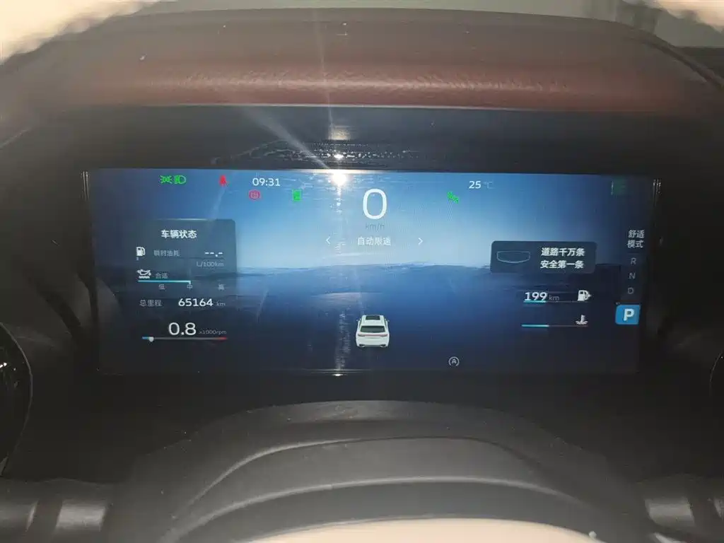 Xingyue L 2.0 TD High Power Auto 4 WD Flagship
