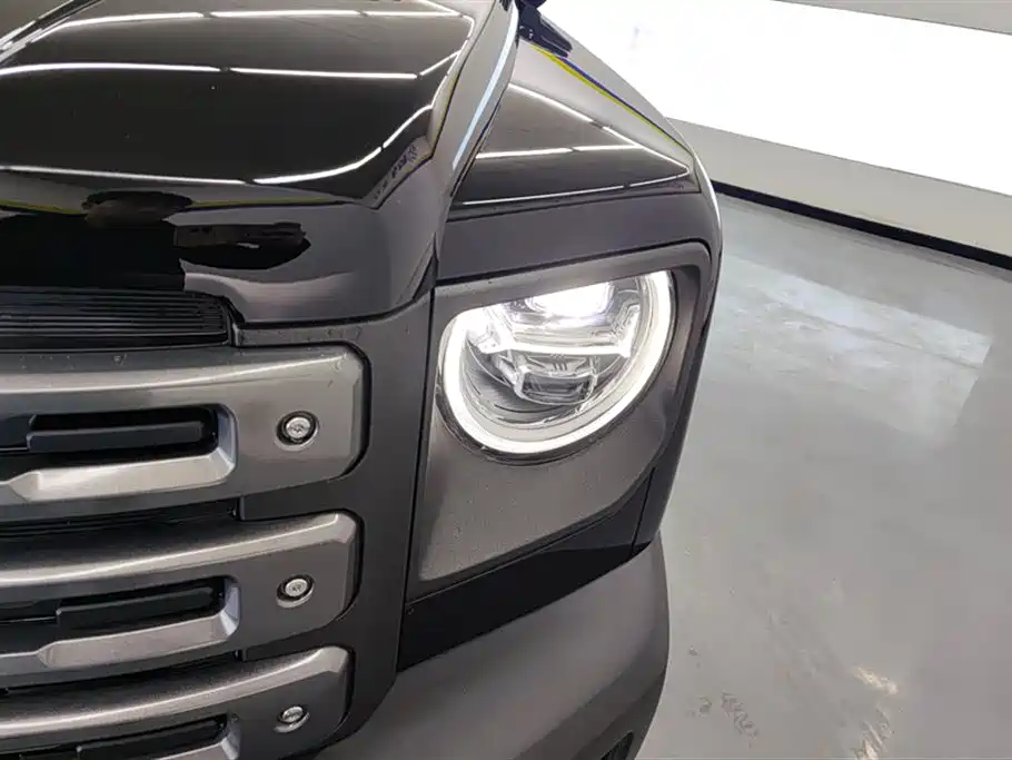 Haval Menglong NEV Hi4 102 Pro