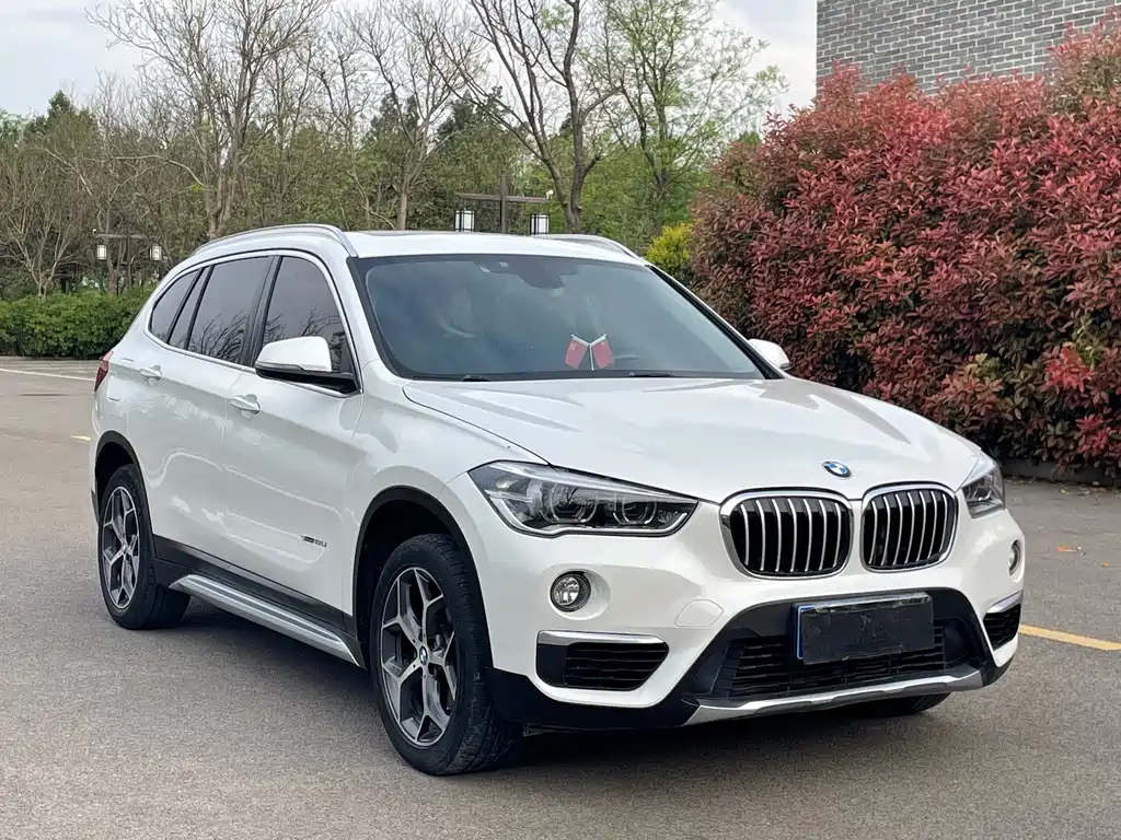 BMW X1 sDrive18 Li Premium