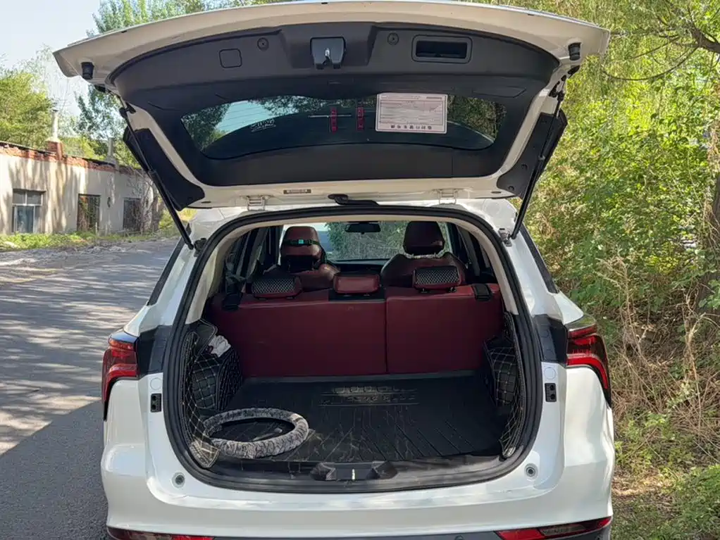 Changan CS75 PLUS 1.5 T Auto Luxury