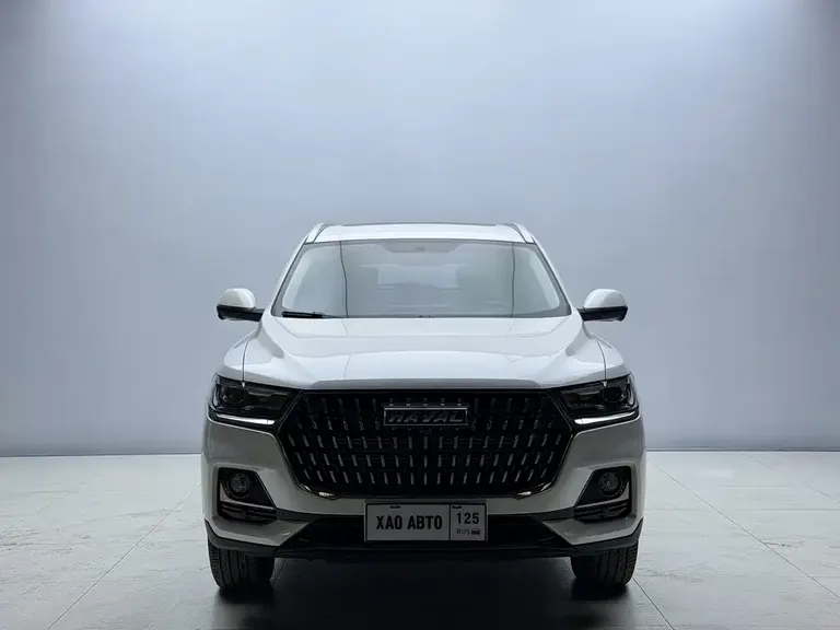 Haval H6 China Style 1.5 T Auto Urban