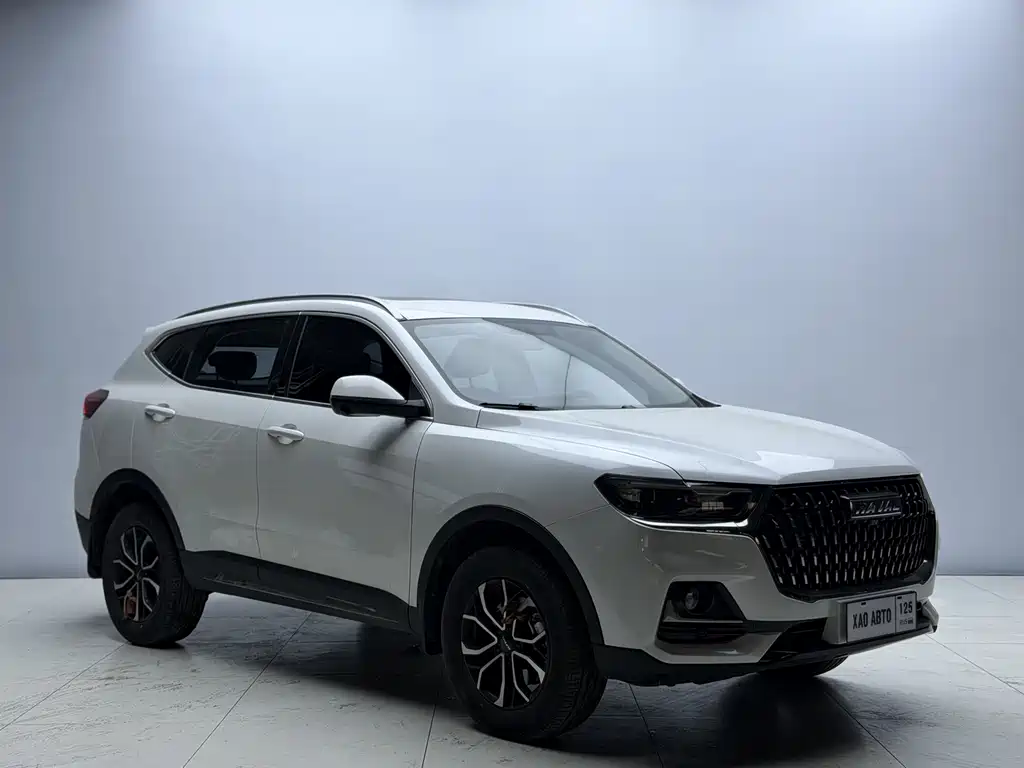 Haval H6 China Style 1.5 T Auto Urban