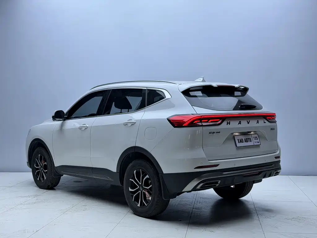 Haval H6 China Style 1.5 T Auto Urban