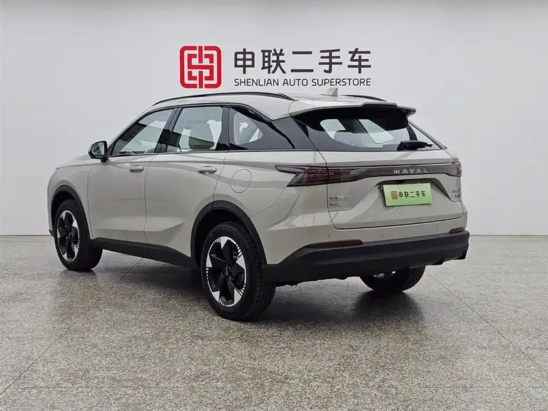 Haval Xiaolong MAX Hi4 110 Pro