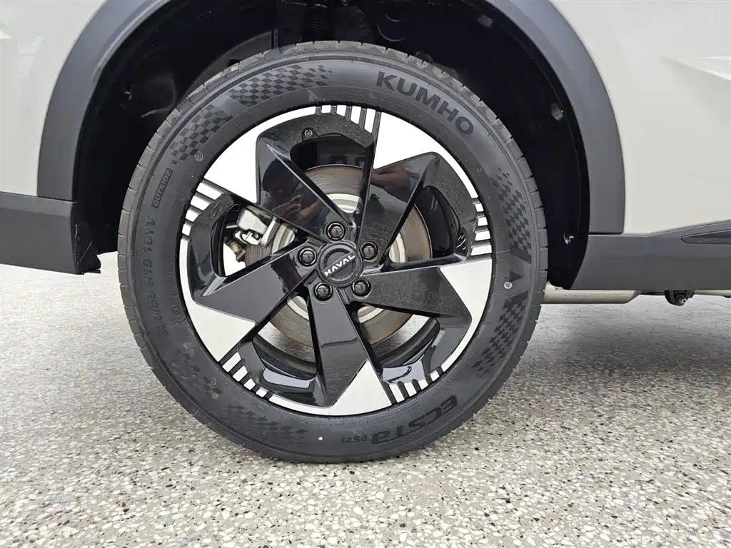 Haval Xiaolong MAX Hi4 110 Pro