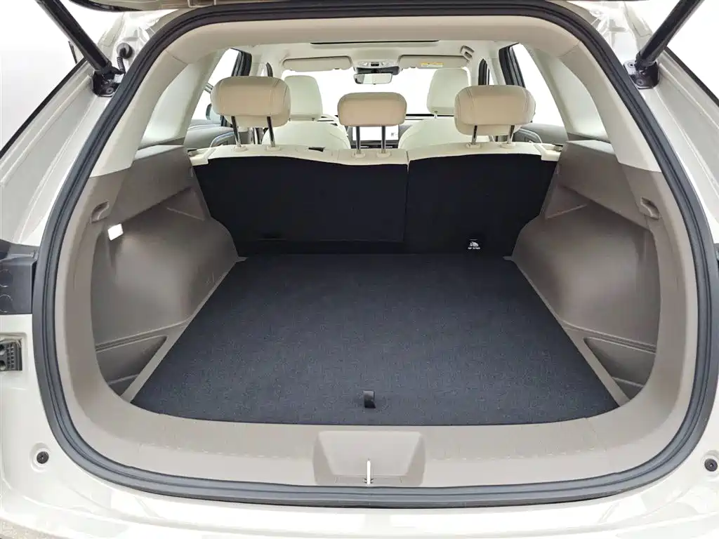 Haval Xiaolong MAX Hi4 110 Pro