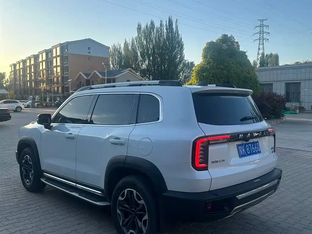 Haval Dargo 2.0 T DCT 4 WD Brilliance Country Dog