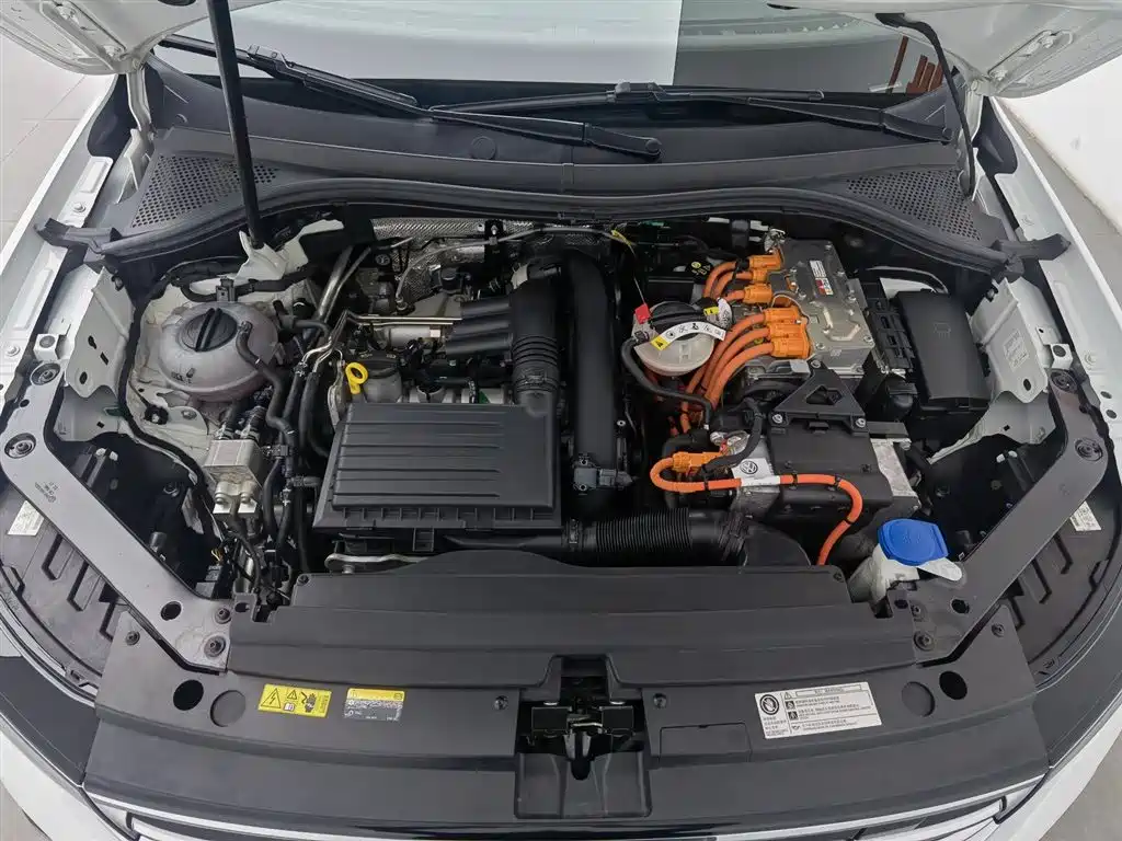 Tiguan L NEV 途观L插电混动 2023款 430 PHEV 插电混动尊贵版
