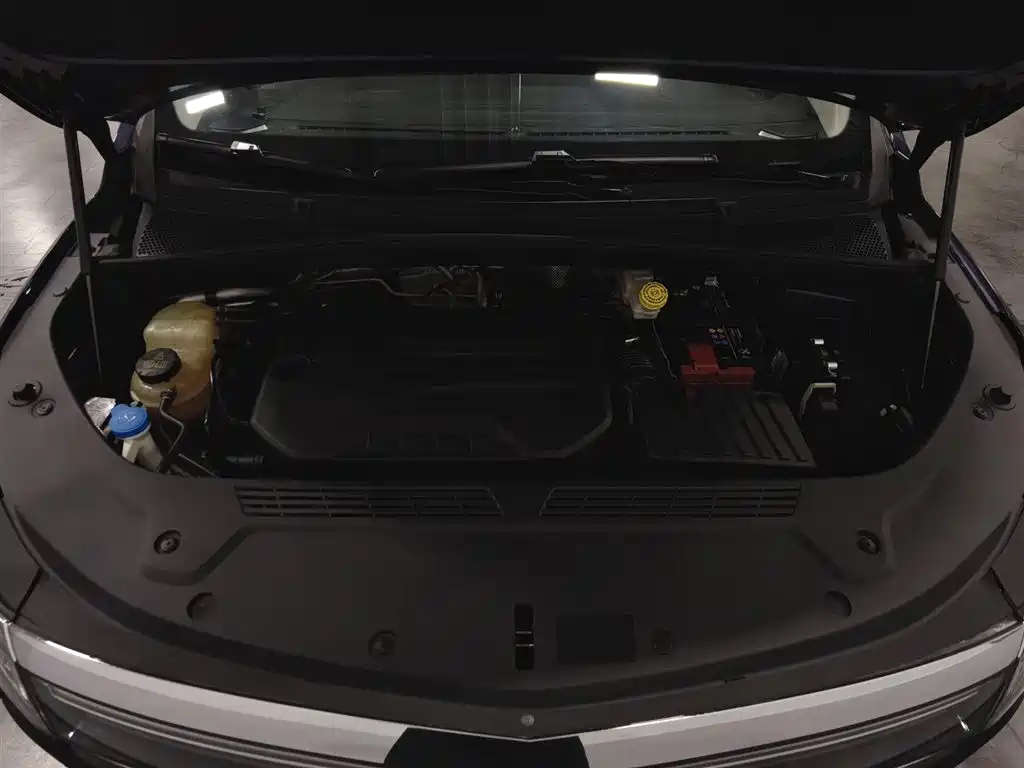 Roewe iMAX8 400 TGI Supreme Series Honored
