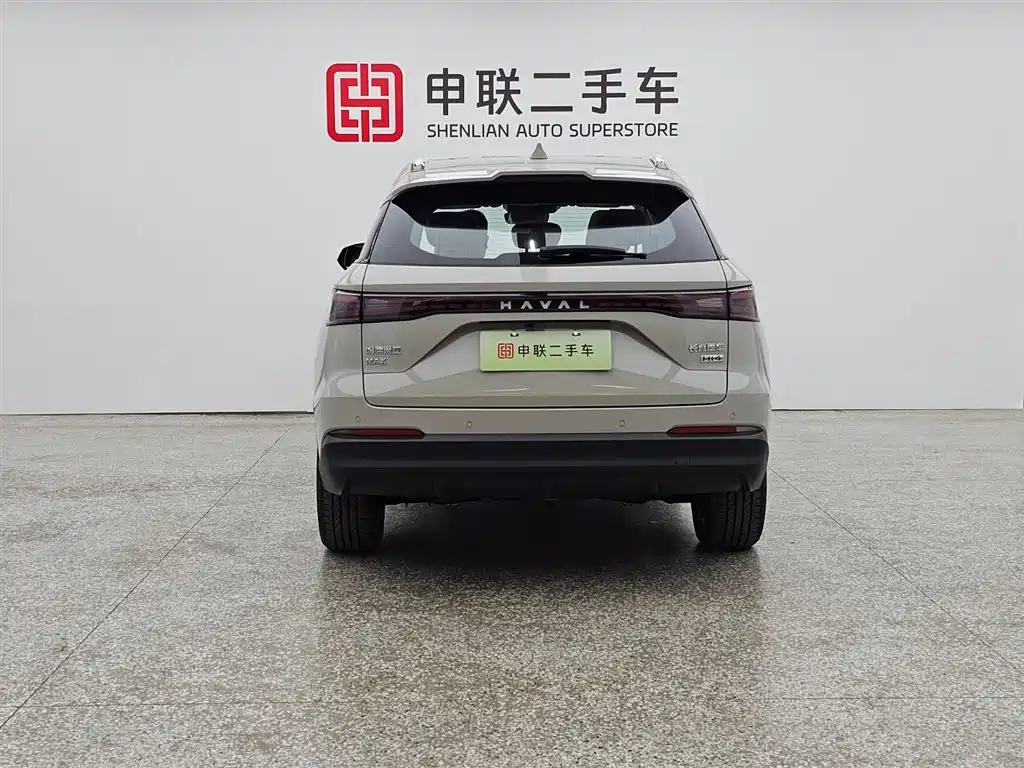 Haval Xiaolong MAX Hi4 110 Pro