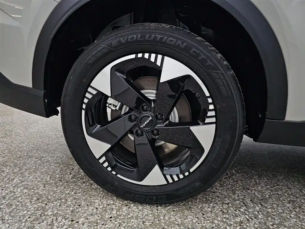 Haval Xiaolong MAX Hi4 110 Pro