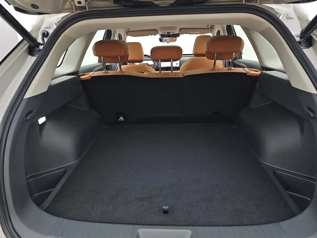 Haval Xiaolong MAX Hi4 110 Pro