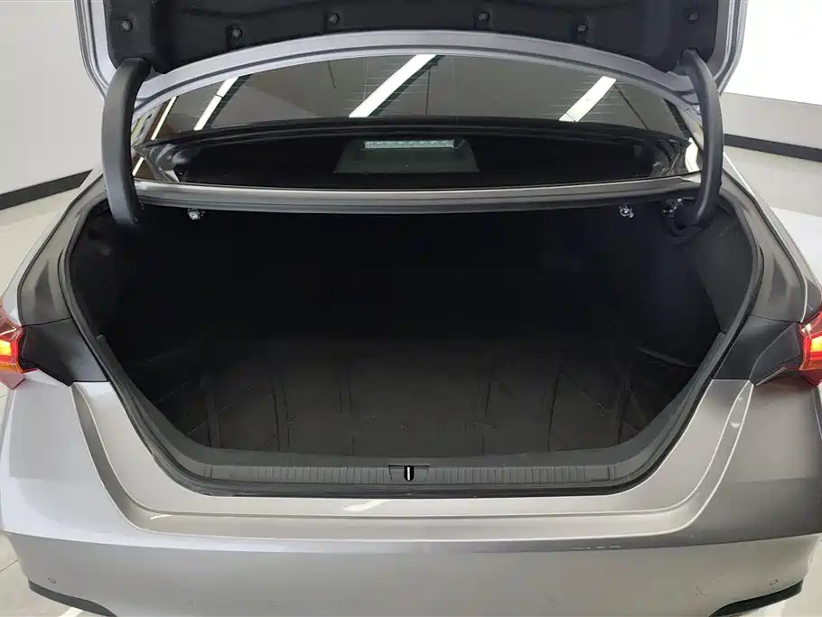 Avalon 2.0 L XLE Premium CN-VI