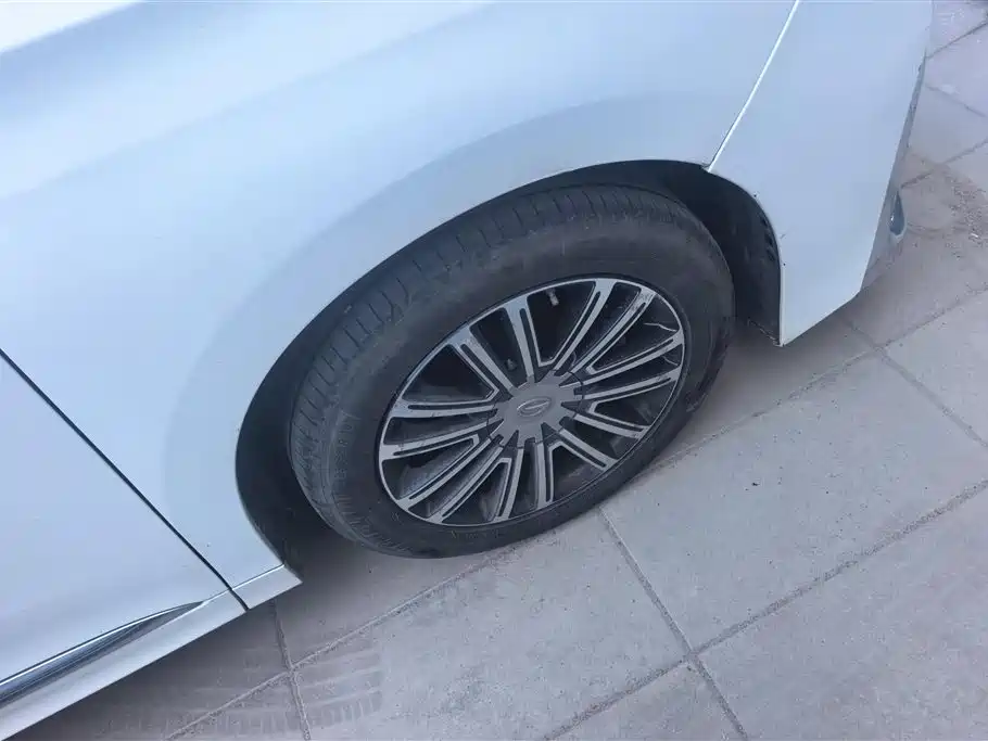 GAC Trumpchi M8 Leading Show Series 390 T Supreme