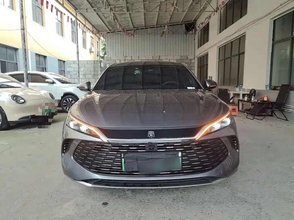 Qin L DM-i 80 KM Transcend
