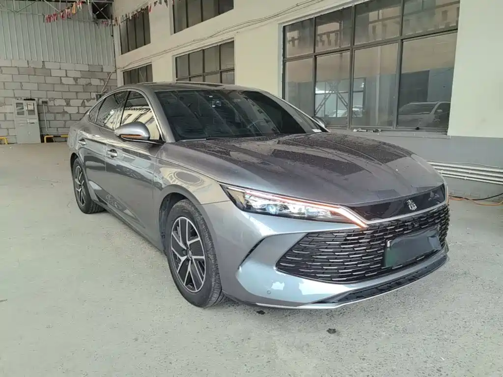 Qin L DM-i 80 KM Transcend