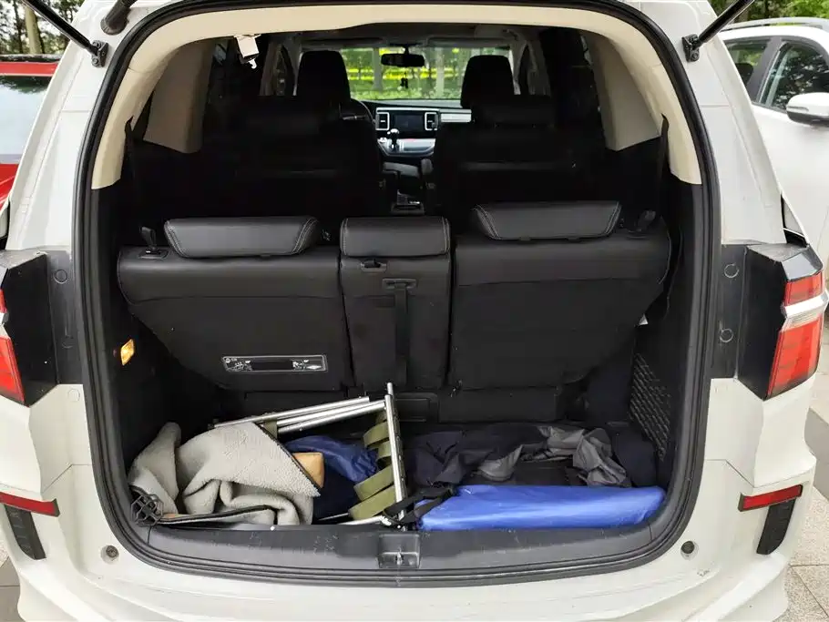 Elysion 2.4 L Luxury