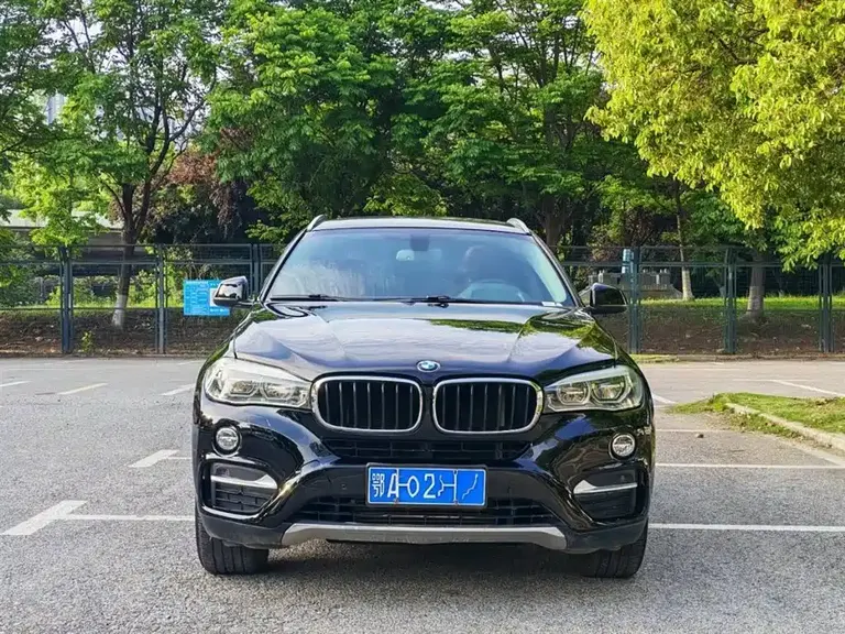 BMW X6 xDrive35 i Leading