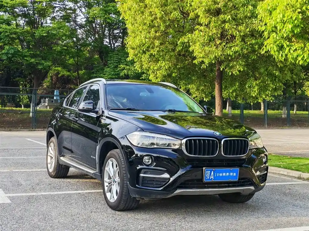 BMW X6 xDrive35 i Leading