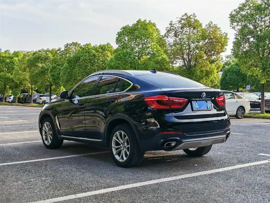 BMW X6 xDrive35 i Leading
