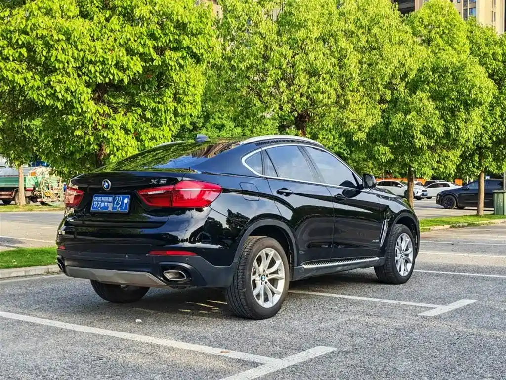 BMW X6 xDrive35 i Leading