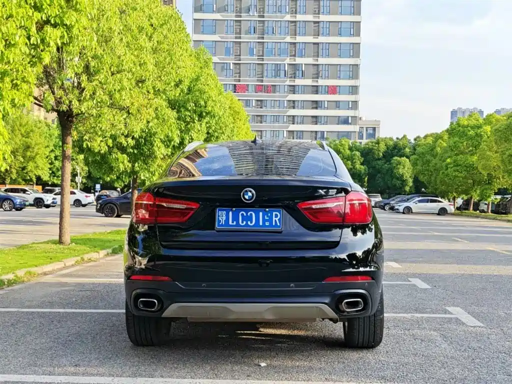 BMW X6 xDrive35 i Leading