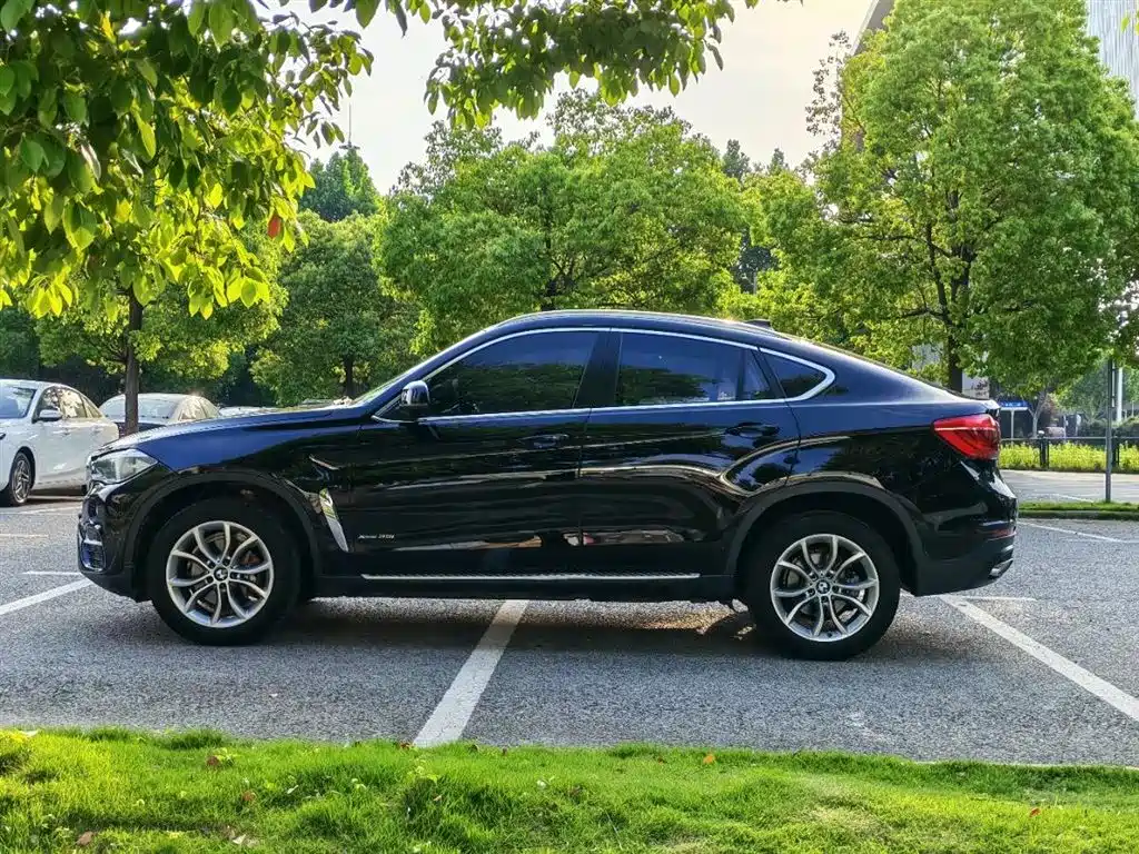 BMW X6 xDrive35 i Leading