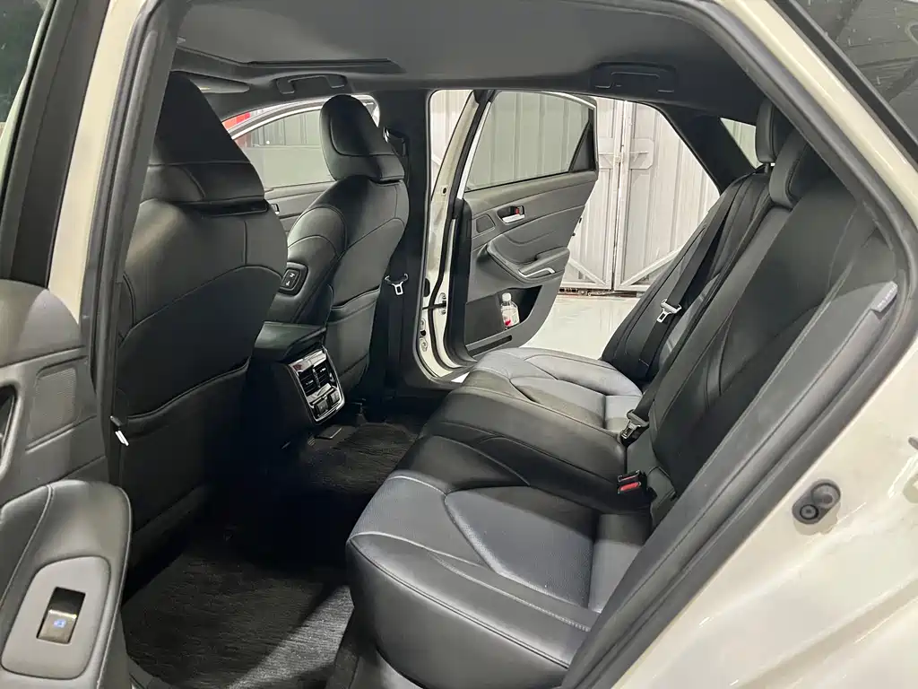 Avalon 2.0 L XLE Premium CN-VI