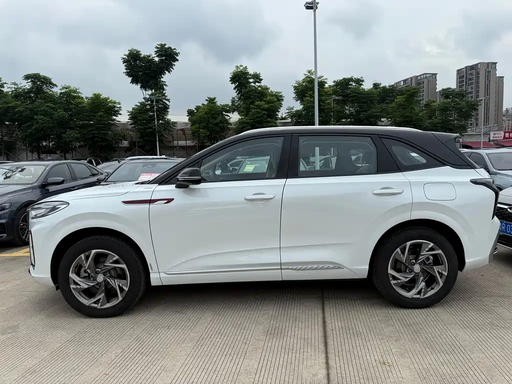 Hongqi HS3 PHEV 117 km Power Action PLUS