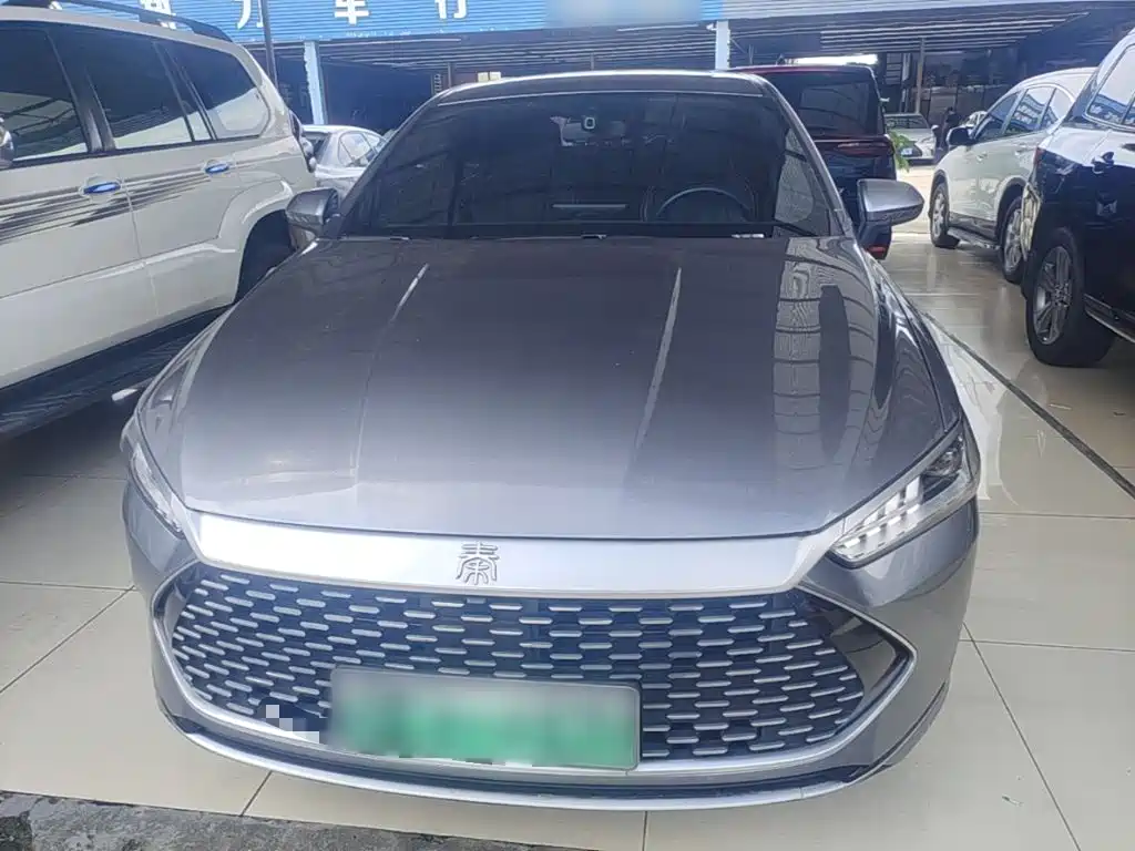 Qin PLUS DM-i 55 KM Flagship