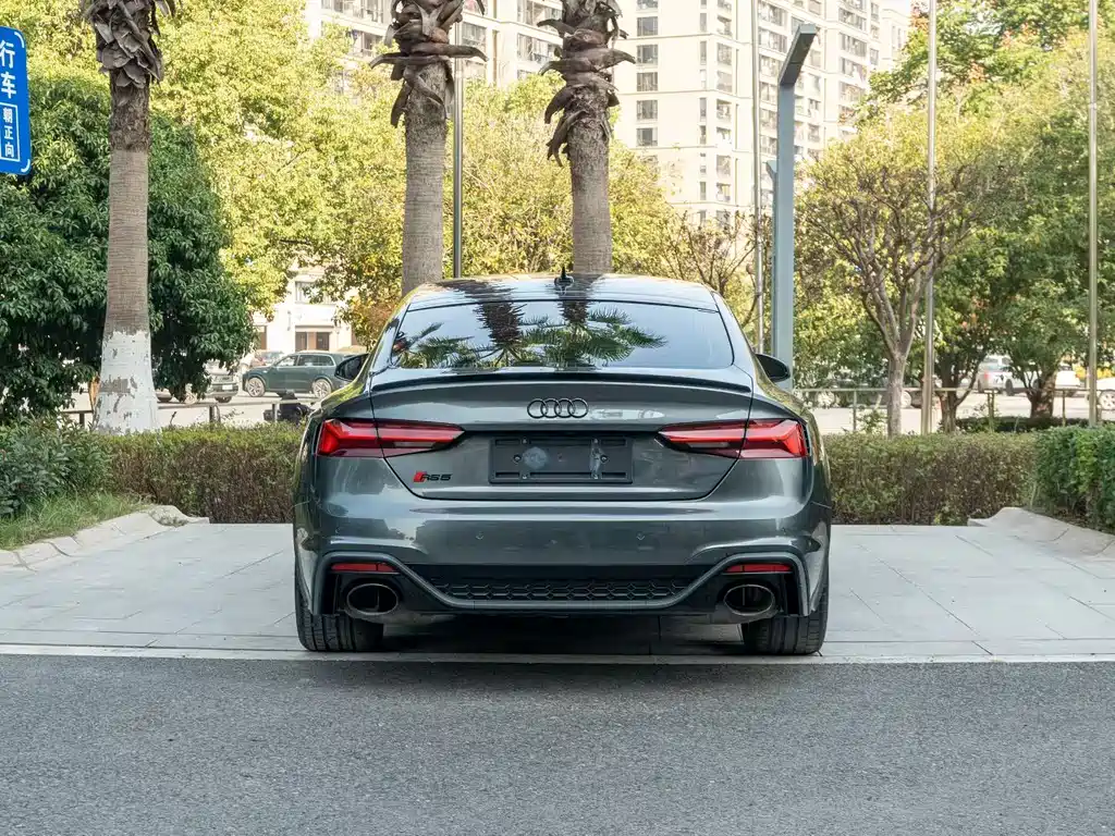 Audi RS 5 RS 5 2.9 T Sportback Obsidian