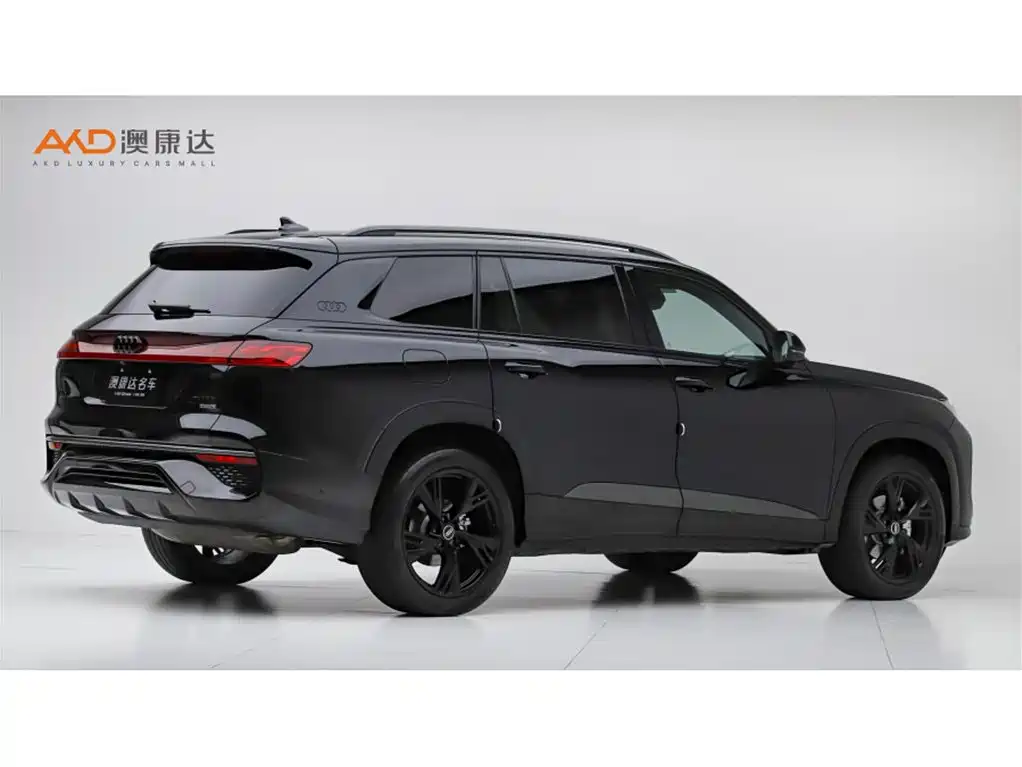 Audi Q6 奥迪Q6/2.0 T/23款/45 TFSI quattro黑武士版
