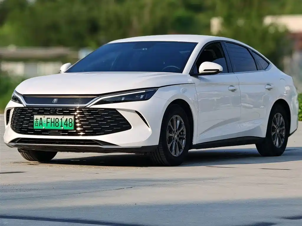 Qin L DM-i 80 KM Leading