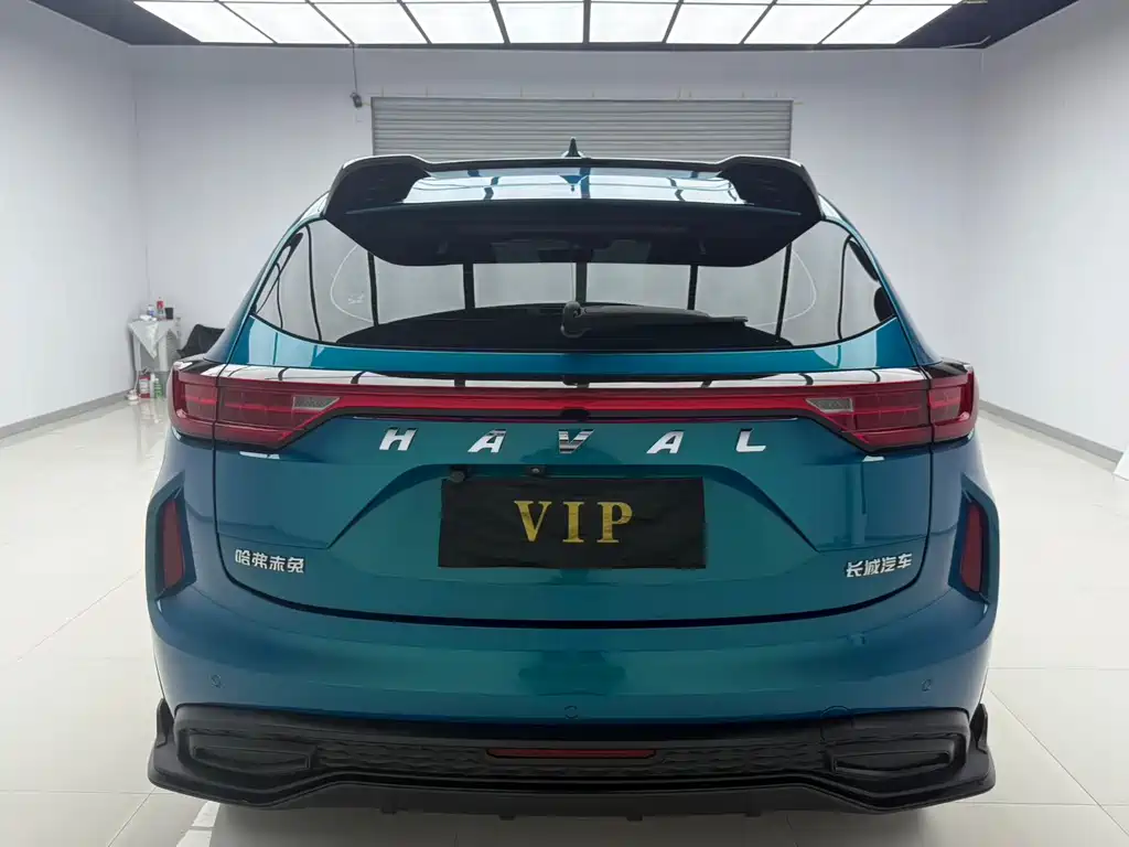 Haval Chitu Power Enjoyment 1.5 T Bronze Rabbit