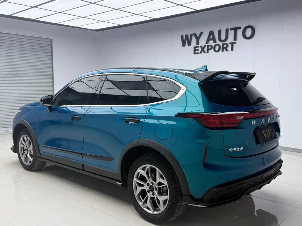 Haval Chitu Power Enjoyment 1.5 T Bronze Rabbit