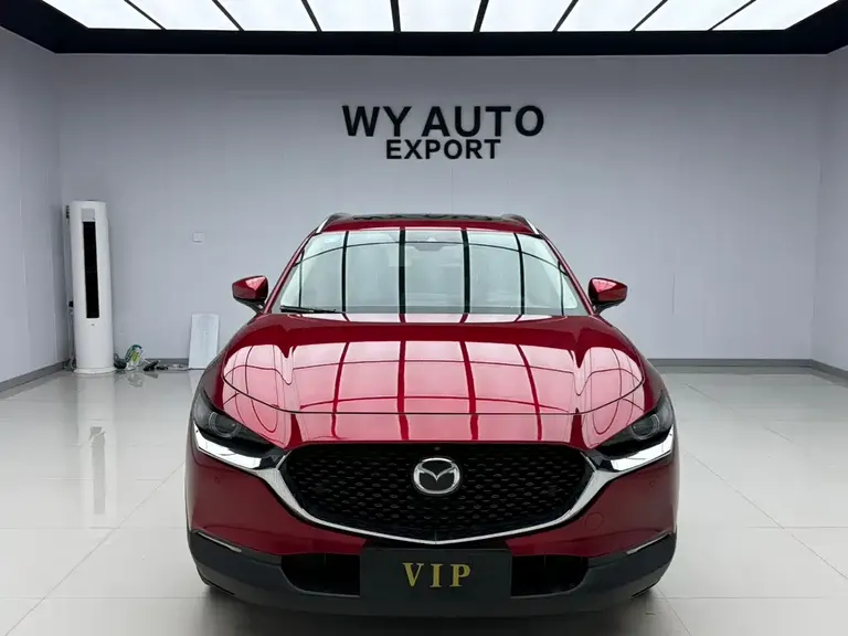 Mazda CX-30 2.0 L Auto Premium Joy