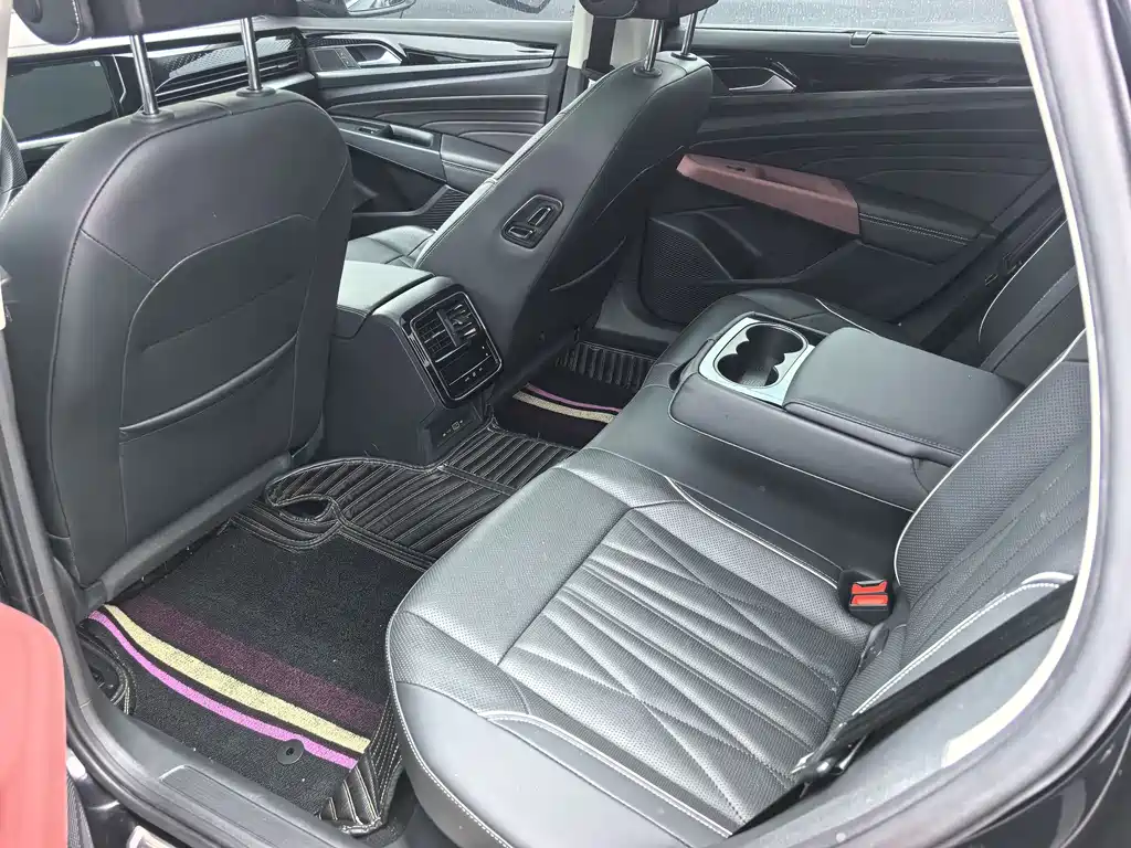 Passat 330 TSI Starry Sky Luxury