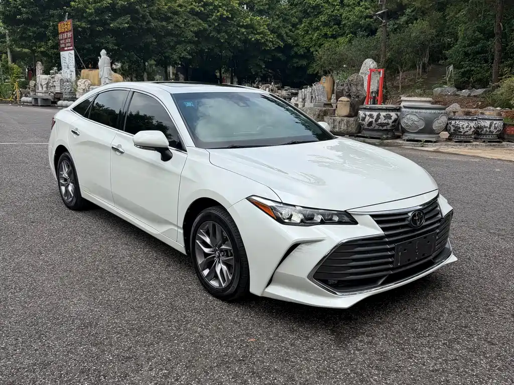 Avalon 2.0 L Luxury CN-VI
