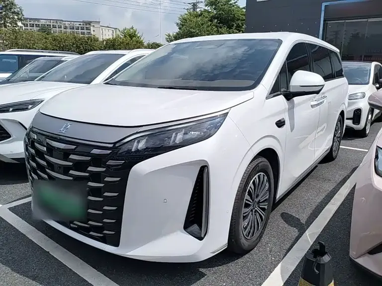 BYD Xia DM-i 1.5 T 180 km Outstanding