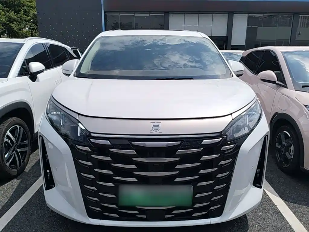 Xia DM-i 1.5 T 180 km Outstanding